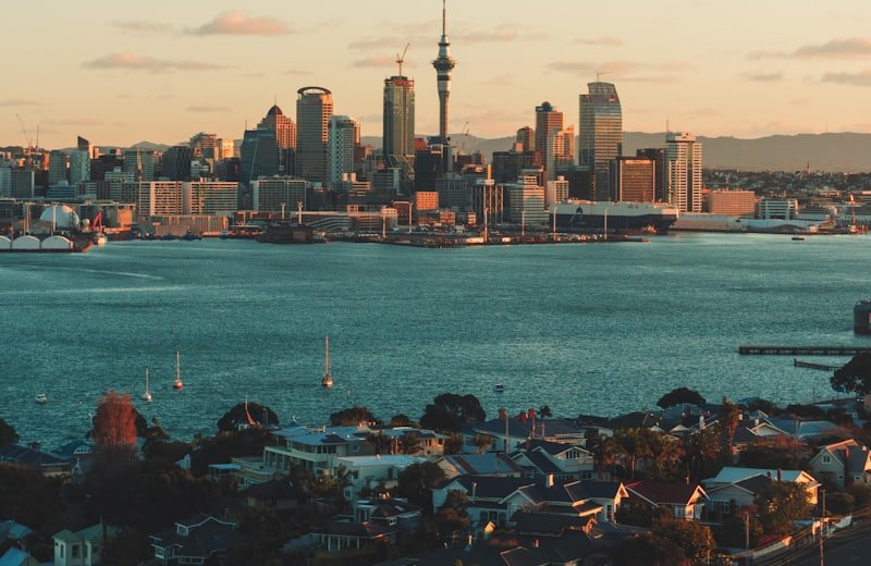 Auckland skyline with the Sky Tower — study in New Zealand with Vibedu