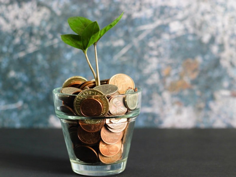 Education Loan Support